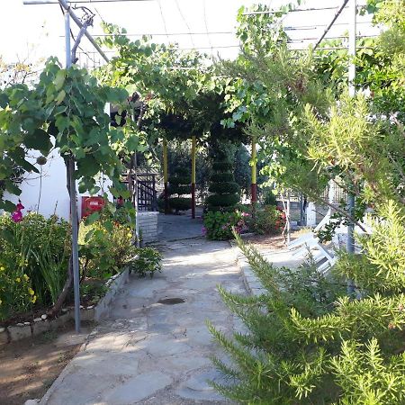 Studio Zoi Villa Alikí Dış mekan fotoğraf
