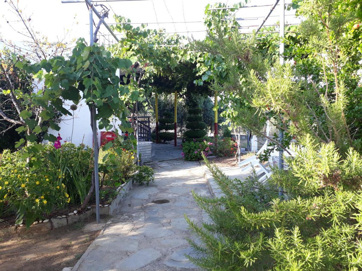 Studio Zoi Villa Alikí Dış mekan fotoğraf