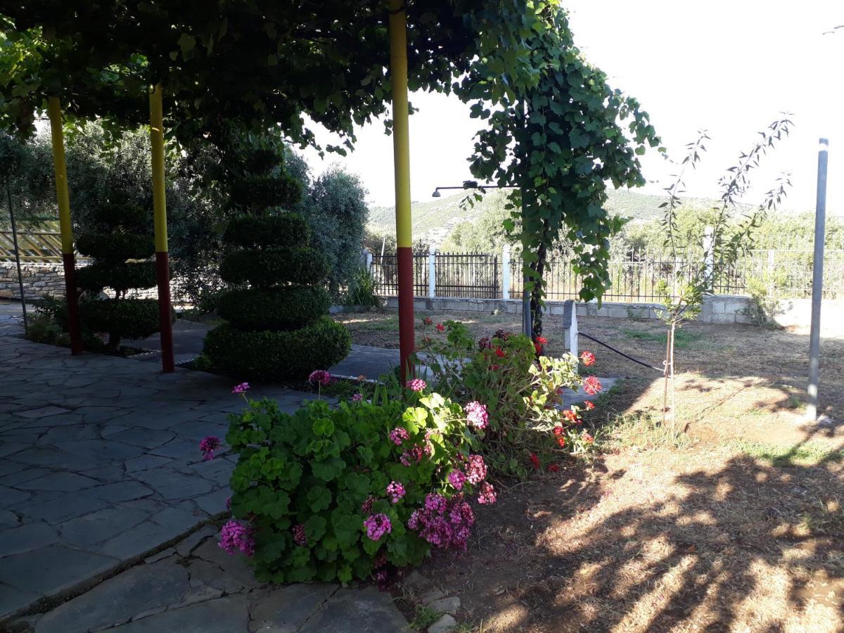 Studio Zoi Villa Alikí Dış mekan fotoğraf