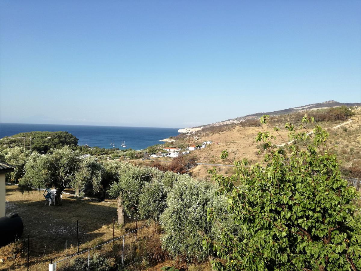 Studio Zoi Villa Alikí Dış mekan fotoğraf