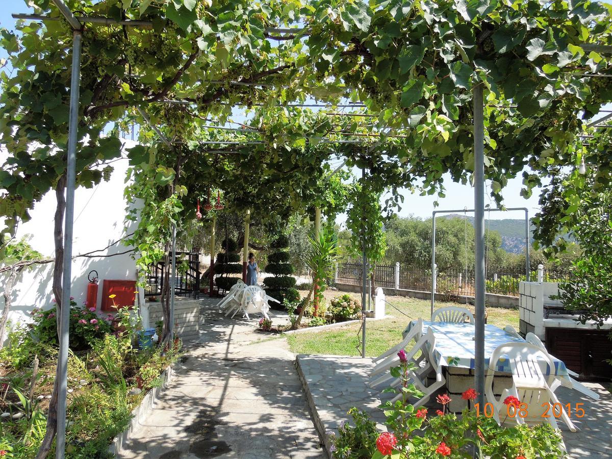 Studio Zoi Villa Alikí Dış mekan fotoğraf
